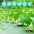 US GARVEE 3 2oz 6ft X 300ft Weed Barrier Landscape Fabric Heavy Duty Premium  Ground Cover Weed Block Gardening Mat