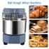 US GARVEE Commercial Dough Mixer 8Qt Capacity 450W Dual Rotating Dough Kneading Machine with Stainless Steel Bowl