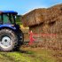 US GARVEE Hay Bale Spear Attachment 3 Point Trailer Hitch 49 Inch Hay Bale Spear   2 Stabilizer Spears
