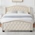 US GARVEE Queen Size Upholstered Platform Bed Frame with Tall Headboard  Luxurious Velvet Button Tufted and Nailhead Trim Wingback  Arched Footboard  No Box Spr