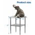 US GARVEE Stainless Steel Work Table with Undershelf Commercial Kitchen Prep Table