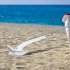 US GARVEE Triangle Boat Anchor Stainless Steel Delta Style Anchor Heavy Duty Wing Style Triangular Anchor