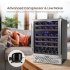 US GARVEE Wine Cooler Refrigerator 51 Bottles Compressor Dual Zone Built in Freestanding Fridge