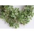US Green Simulate Longleaf Luckyweed Flower Wreath Party Decor Outside Diameter 40CM green