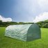US Greenhouse Plant Growing Dome Tent Easy Setup Indoor Outdoor Greenhouse Garden Green