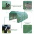 US Greenhouse Plant Growing Dome Tent Easy Setup Indoor Outdoor Greenhouse Garden Green