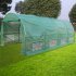 US Greenhouse Plant Growing Dome Tent Easy Setup Indoor Outdoor Greenhouse Garden Green