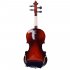 US Gv100 1 8 Solid Wood Natural Acoustic Violin with Storage Case Bow Rosin Strings Shoulder Rest Kit Gifts
