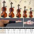 US Gv100 3 4 Acoustic Violin Kit with Case Bow Rosin String Tuner Shoulder Rest Brown