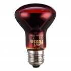 US LED Red Reptile Night Light UVA Infrared Heat Lamp Bulb for Snake Lizard Reptile 100w