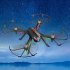 US MJX B3 Bugs 3 RC Quadcopter Brushless 2 4G 6 Axis Gyro with Camera Mounts for Gopro Xiaomi Xiaoyi Camera