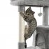 US Multi Layered Cat Bench with Litter and Top Lie and Hammock and Sisal Cat Scratching Post and Plush Hanging Ball Grey