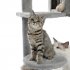 US Multi Layered Cat Bench with Litter and Top Lie and Hammock and Sisal Cat Scratching Post and Plush Hanging Ball Grey