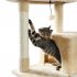 US Multi level Cat Climb Tree With Cozy Condos Hammock Sisal covered Scratching Posts With Hanging Ball For Indoor Cats beige