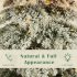 US PVC 7 5ft Artificial Christmas Tree With 400 LED Lights 1050 Branch Tips Outdoor Indoor Xmas Tree For Christmas Decorations Green