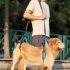 US Pet Dog Carry Sling Pet Legs Support Rehabilitation Lift Harness For Disabled Injured Elderly Dog Joint Injuries Arthritis blue M