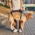 US Pet Dog Carry Sling Pet Legs Support Rehabilitation Lift Harness For Disabled Injured Elderly Dog Joint Injuries Arthritis blue M