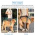 US Pet Dog Carry Sling Pet Legs Support Rehabilitation Lift Harness For Disabled Injured Elderly Dog Joint Injuries Arthritis blue M