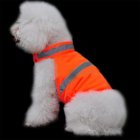 US Pet Dog High Visibility Reflective Safety Vest for Outdoor Work Walking Orange M