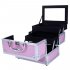 US Portable Cosmetic Case with Mirror Makeup Train Case Jewelry Box Organizer Pink