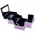 US Portable Cosmetic Case with Mirror Makeup Train Case Jewelry Box Organizer Pink