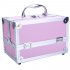 US Portable Cosmetic Case with Mirror Makeup Train Case Jewelry Box Organizer Pink