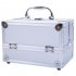 US Portable Cosmetic Case with Mirror Makeup Train Case Jewelry Box Organizer Pink