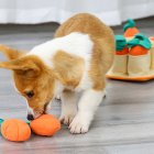 US Pulling Carrot Game Iq Educational Dog Toys Slow Food Leaking Training Playing Sniffing Pet Toys Supplies Yellow orange