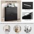 US Shoe Storage Cabinet With 2 Flip Drawers Tempered Glass Top Pulling Drawer LED Light Narrow Shoe Rack Cabinet Black