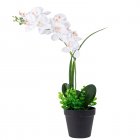 US Simulated Flower Bonsai Phalaenopsis Desktop Decoration style 2