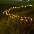 US Solar Powered Firefly Lights Ip65 Waterproof Starburst Swaying Garden Lamp For Courtyards Lawns Sidewalks Decor 8 heads warm white 4pcs pack