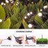 US Solar Powered Firefly Lights Ip65 Waterproof Starburst Swaying Garden Lamp For Courtyards Lawns Sidewalks Decor 8 heads warm white 4pcs pack