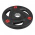 US Thickened Cast Iron Weight Plates Non fading Rust proof For Weightlifting Strength Training Crossfit 45 lbs