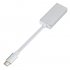 USB C to Displayport Converter DP Type C Adapter Silver