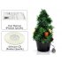 USB Christmas Tree with colored LED lights  place this Christmas tree on your desk to bring out the Christmas spirit