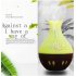 USB Essential Oil Diffuser Air Humidifier Mute Wood Aromatherapy Mist Maker Dark crack   hollow