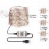 USB String Lights IP67 Waterproof Voice Controlled 7 Pattern 29 Modes 16 Million Colors Copper Wire Lights 100 lights 10 meters