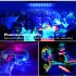UV LED Black Light Blacklight Flood Light IP65 Waterproof 395 400nm UVA Lamp For Stage Lighting Halloween Decor 300W EU Plug