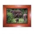 10.4-inch LCD, Digital Photo Frame(wood), Built-in 1GB Flash
