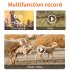 Ultra HD Solar Powered Surveillance Camera Cellular Trail Cameras Infrared Camera for Outdoor Garden EU Plug   64G Card