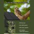 Ultra HD Solar Powered Surveillance Camera Cellular Trail Cameras Infrared Camera for Outdoor Garden EU Plug   64G Card