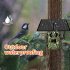 Ultra HD Solar Powered Surveillance Camera Cellular Trail Cameras Infrared Camera for Outdoor Garden EU Plug   64G Card