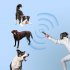Ultrasonic Dog Bark Deterrent Bad Behavior Prevention Dog Trainer With Lanyard Barking Control Device For Indoor Outdoor Repeller N11 Orange
