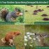 Ultrasonic Waterproof Animal Repellent 13 5 Khz  45 5 Khz Ip44 Waterproof Cat Dog Repellent Deterrent Green