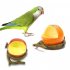 Unique Chic Orange Pomegranate Shape Birds Feeder Parrot Birds Food Container Food Bowl Drinkers Orange
