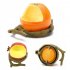 Unique Chic Orange Pomegranate Shape Birds Feeder Parrot Birds Food Container Food Bowl Drinkers Orange