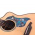 Universal Folk Acoustic Guitar Pickguard Love Bird Pattern Pick Guard Sticker for 40 41inch Guitar