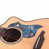 Universal Folk Acoustic Guitar Pickguard Love Bird Pattern Pick Guard Sticker for 40 41inch Guitar