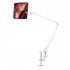 Universal Phone Stand Holder Mount Flexible 360   Rotation Long Arm Bracket Stand For Phones Mobile Bed Office Kitchen D42 shell clip black