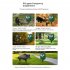 Upgraded Solar Repeller Ultrasonic Bird Repellent Motion Sensor LED Light Cat Repellent For Yard Garden Farm New 14LED mouse repeller